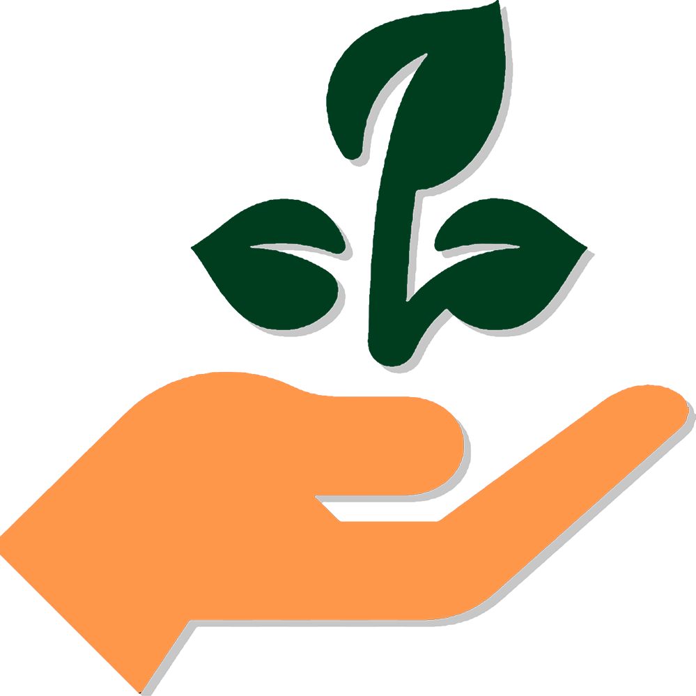 Assistência no Campo